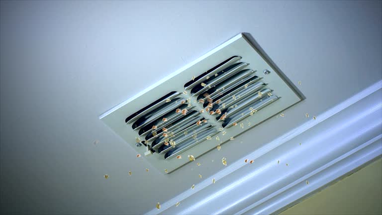 Best Residential Air Duct Cleaning  in Volcano Golf Course, HI