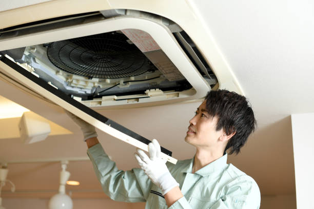 Best Affordable Duct Cleaning Services  in Volcano Golf Course, HI